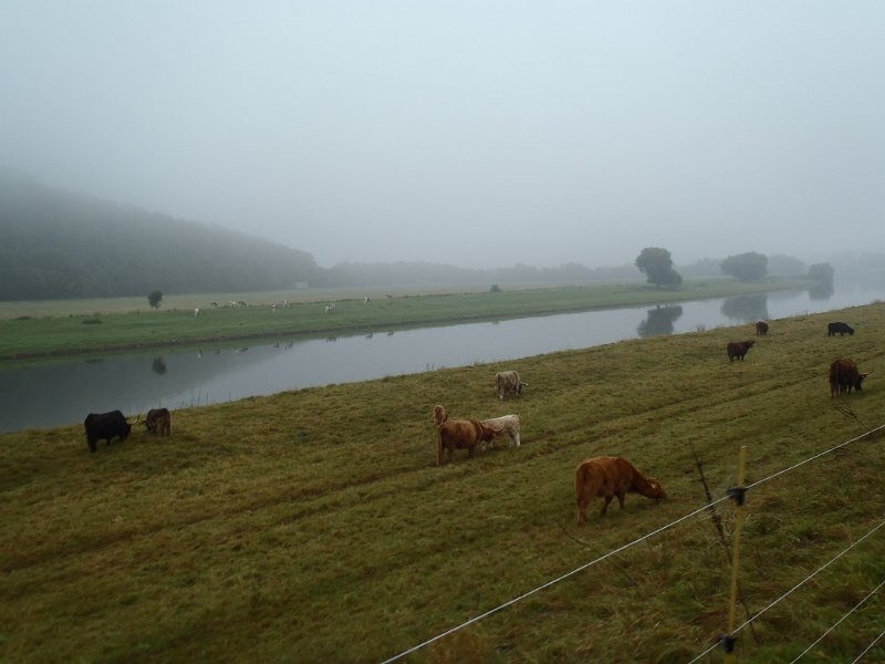 Grosse Weserrunde Karin 291